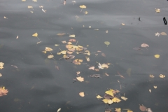 smIMG_4143