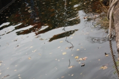 smIMG_4144