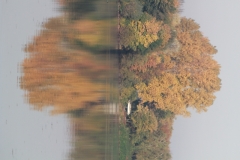smIMG_4197