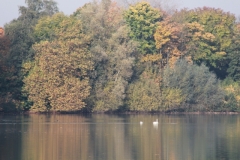 smIMG_4205