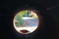smIMG_4294