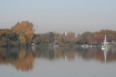 smSAM_1536