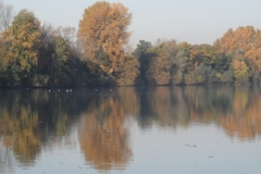 smSAM_1537