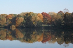 smSAM_1538