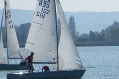 smP1020866