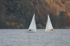 smIMG_1789