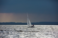 smMR9A2536