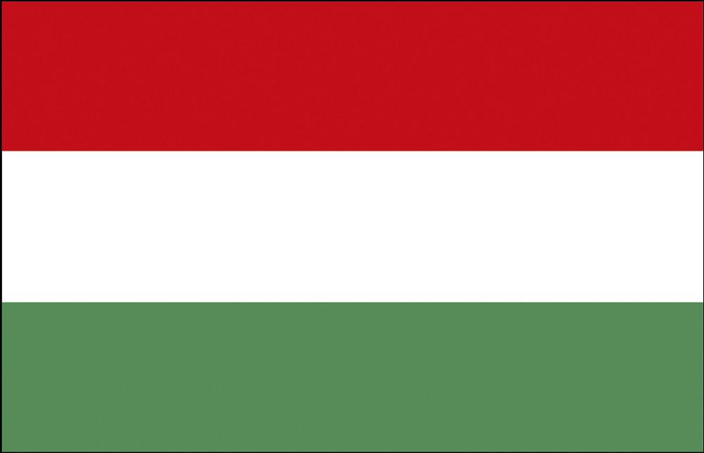Infos für die Regatta in Ungarn