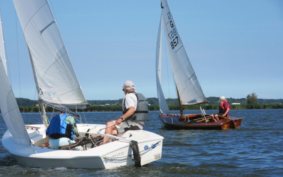 Zugvogel-Segler, alt und jung